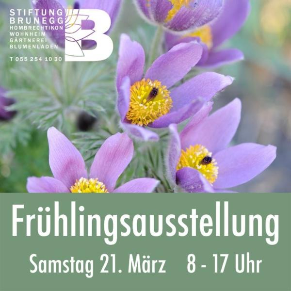 Frühlingsausstellung 2026