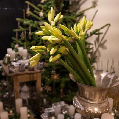 Adventsausstellung 2022