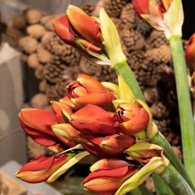 Adventsausstellung 2022