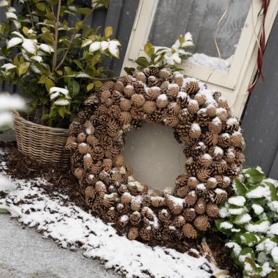 3 002 Advent 24 241121