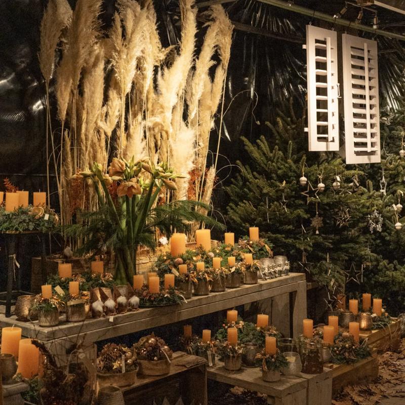 55 032 Advent 24 241121