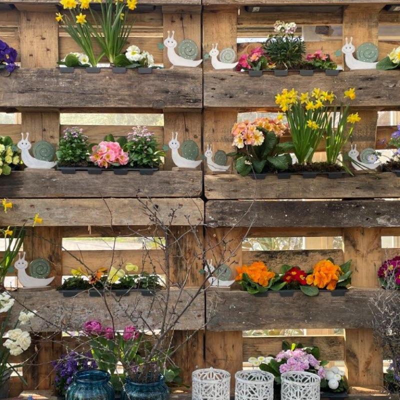 Frühlingsausstellung 2022