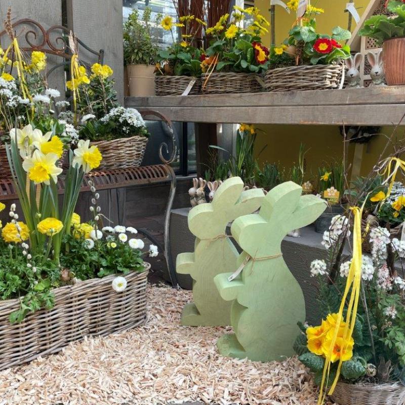 Frühlingsausstellung 2022