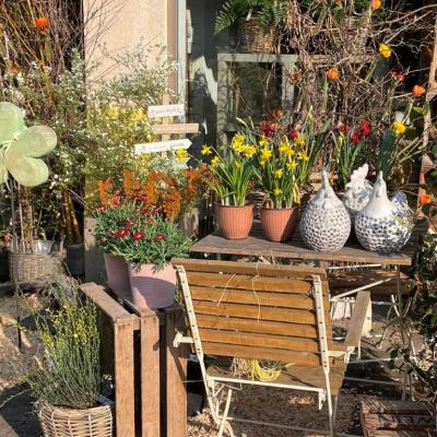 Frühlingsausstellung 2022