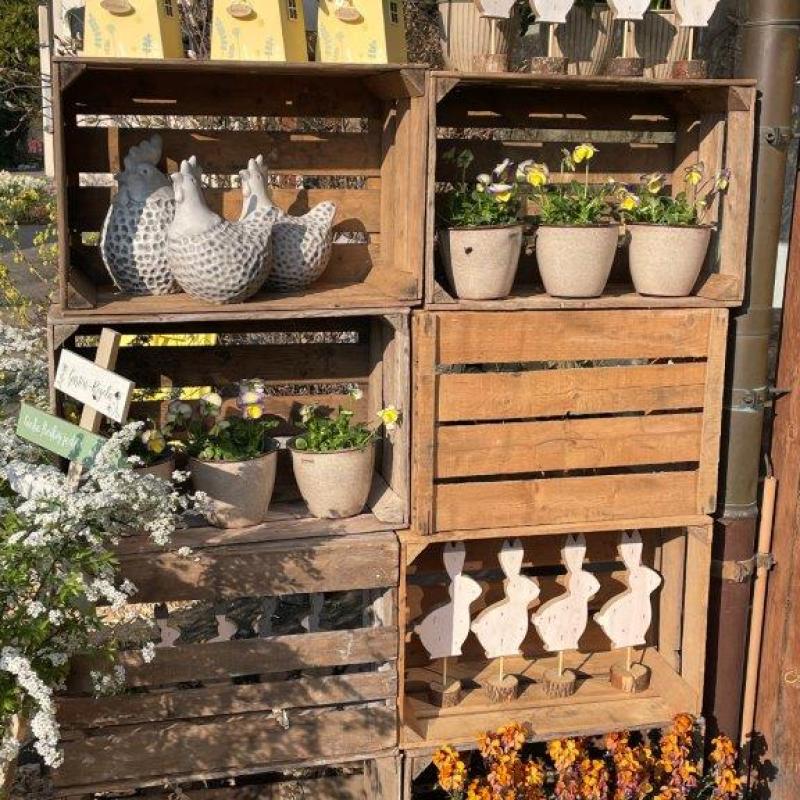 Frühlingsausstellung 2022