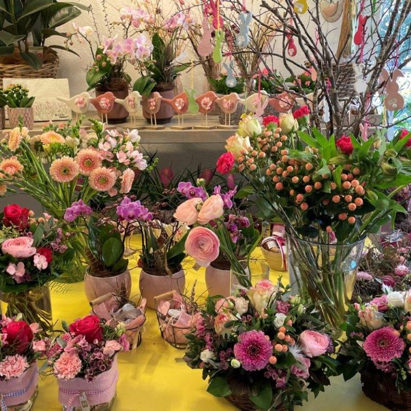 Frühlingsausstellung 2022